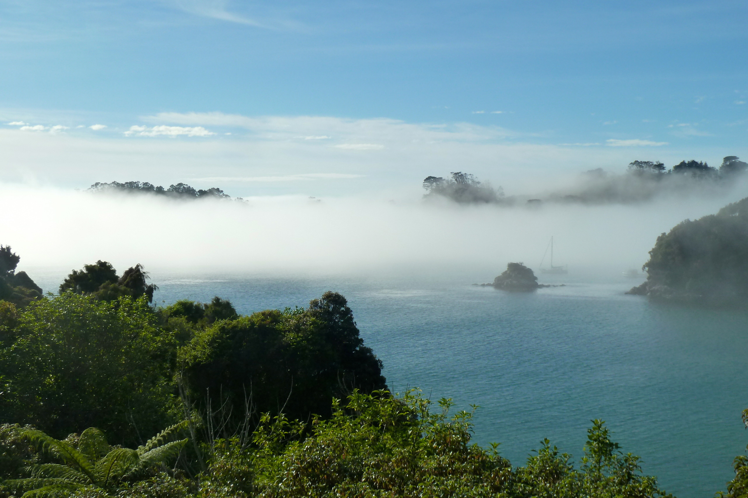 stewart island (4).webp